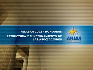 FELABAN 2002 - HONDURAS ESTRUCTURA Y FUNCIONAMIENTO DE LAS ASOCIACIONES