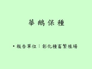 華 鵝 保 種