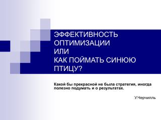 ЭФФЕКТИВНОСТЬ ОПТИМИЗАЦИИ ИЛИ КАК ПОЙМАТЬ СИНЮЮ ПТИЦУ?