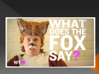 WWW.FOX.LT