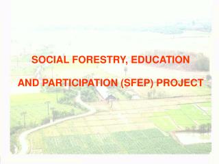 SOCIAL FORESTRY, EDUCATION AND PARTICIPATION (SFEP) PROJECT