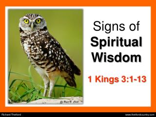 Signs of Spiritual Wisdom