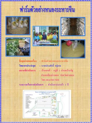ฟาร์มตัวอย่างหนองระหารจีน