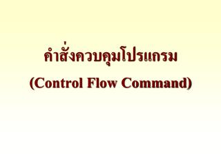 คำสั่งควบคุมโปรแกรม ( Control Flow Command)