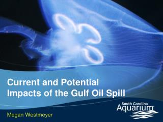 Current and Potential Impacts of the Gulf Oil Spill