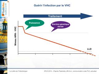 Guérir l’infection par le VHC