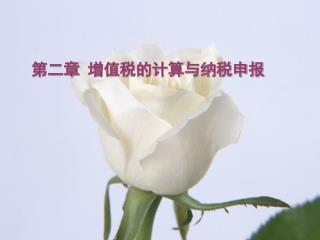 第二章 增值税的计算与纳税申报