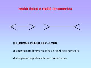 realtà fisica e realtà fenomenica