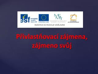Přivlastňovací zájmena, zájmeno svůj