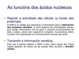 As funcións dos ácidos nucleicos