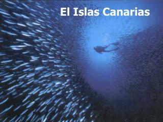 El Islas Canarias