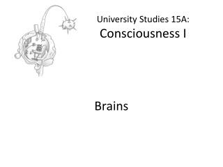 University Studies 15A: Consciousness I