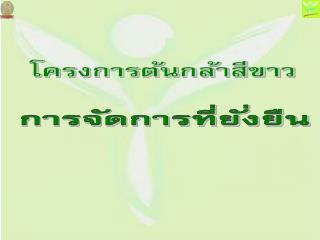 โครงการต้นกล้าสีขาว