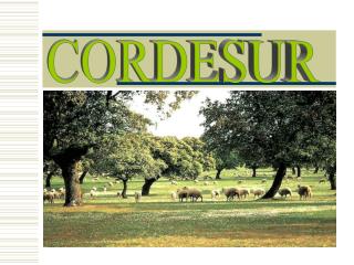 CORDESUR
