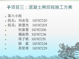 子项目三：混凝土闸坝段施工方案