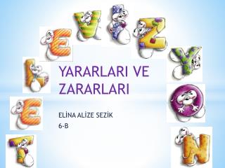 YARARLARI VE ZARARLARI ELİNA ALİZE SEZİK 6-B