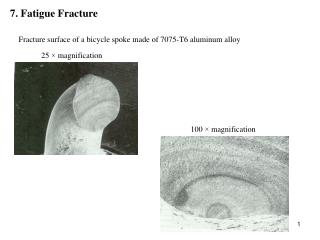 7. Fatigue Fracture