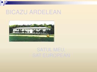 BICAZU ARDELEAN