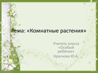 Тема: «Комнатные растения»