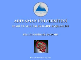 ADIYAMAN ÜNİVERSİTESİ İDARİ VE MALİ İŞLER DAİRE BAŞKANLIĞI