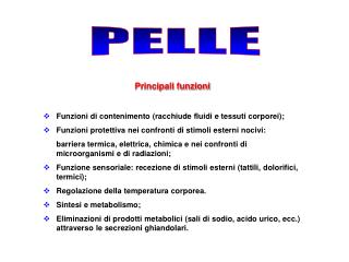 PELLE