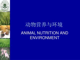 动物营养与环境