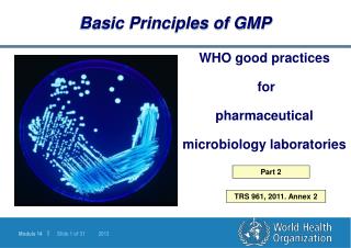 Basic Principles of GMP