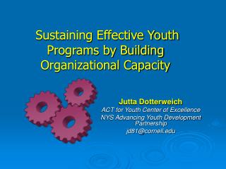 Sustaining Effective Youth Programs by Building Organizational Capacity