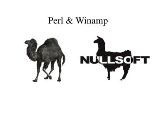Perl &amp; Winamp