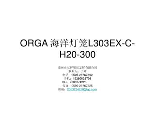ORGA 海洋灯笼 L303EX-C-H20-300