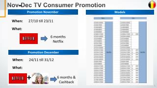 Nov-Dec TV Consumer Promotion