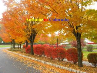 Autumn in Colorado