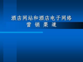 酒店网站和酒店电子网络 营 销 渠 道