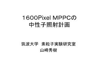 １６００ Pixel ＭＰＰＣの 中性子照射計画