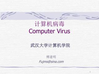 计算机病毒 Computer Virus