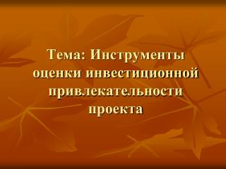 Тема: Инструменты оценки инвестиционной привлекательности проекта