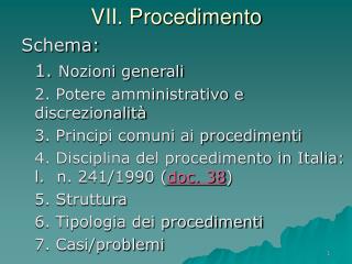 VII. Procedimento