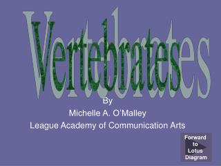 By Michelle A. O’Malley League Academy of Communication Arts