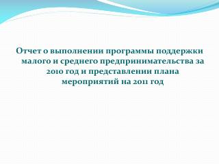 Итоги выполнения программы за 2010 год