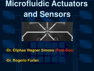 Microfluidic Actuators