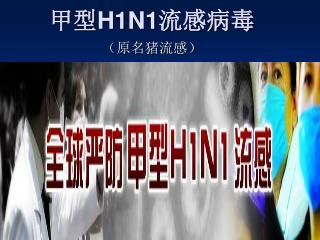 甲型 H1N1 流感病毒