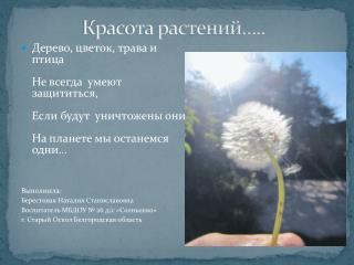 Красота растений…..