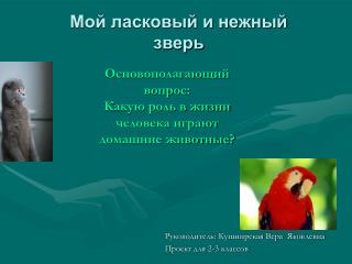 Основополагающий вопрос: Какую роль в жизни человека играют домашние животные?