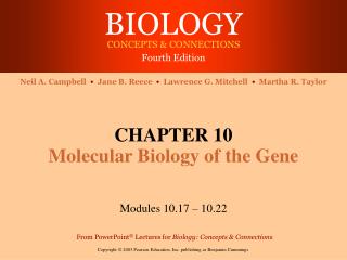 CHAPTER 10 Molecular Biology of the Gene