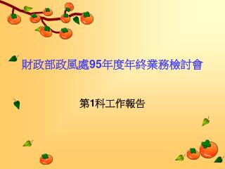 財政部政風處 95 年度年終業務檢討會