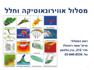ראש המסלול : פרופ' משה רוזנפלד חדר 212, בנין וולפסון טל. 03-640-8534
