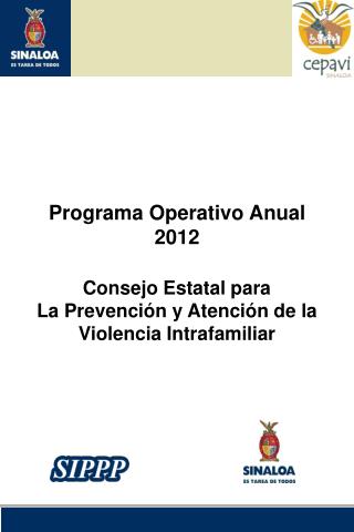 Programa Operativo Anual 2012