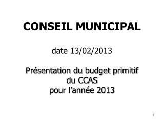 CONSEIL MUNICIPAL date 13/02/2013 Présentation du budget primitif du CCAS pour l’année 2013