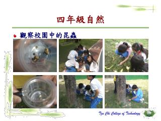 四年級自然