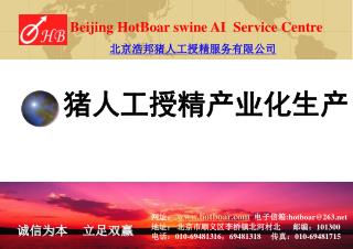 猪人工授精产业化生产